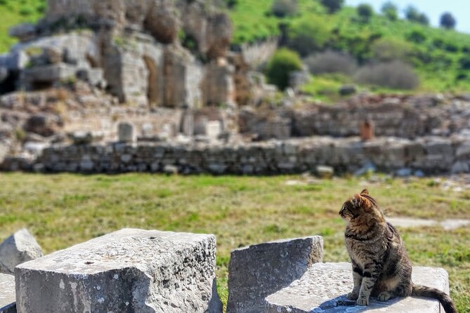 All Inclusive Private Half-Day Ephesus and Sirince Village Tour with Lunch - Timing, transport, and the port return you’ll care about