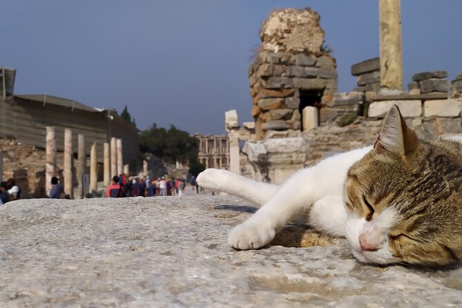 Best of Ephesus Tour From Kusadasi: Temple of Artemis, St John Basilica, Isa Bey Mosque - Meryemana (House of the Virgin Mary): quiet pine air and the wishing wall