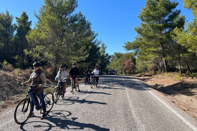 Cycling Through Vineyards & Farm Lunch & Ephesus visit - Second Ephesus Visit: Odeon, Hadrian, Celsus, and the Great Theater