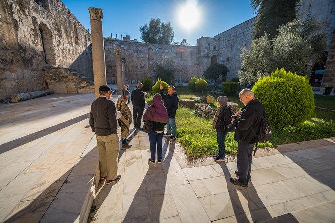 Ephesus Small Group Day Tour from Kusadasi - Temple of Artemis: a Seven Wonders stop with one surviving pillar