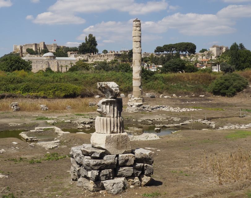 From Kusadasi or Selcuk: Full-Day Ephesus Tour with Lunch - Skip-the-Line, Entrance Fees, and the Terrace Houses Cost