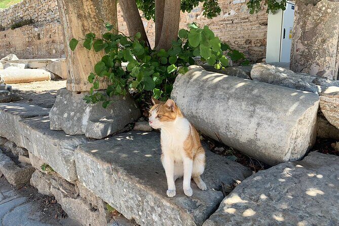 Guided Ephesus Tour From/to Izmir - Who this tour suits best