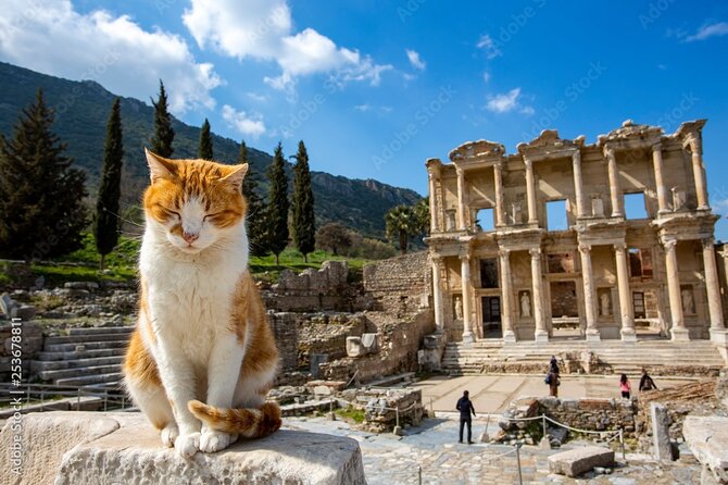 Journey to Ancient Wonders: Explore Ephesus with a Private Tour - Ephesus Museum Area: Celsus Library, Hadrian, and the Great Theater
