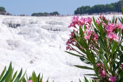 Pamukkale Day Tour from Selcuk - The Early Feel of Pamukkale: Cotton Castle Meets a 200-Meter Terrace