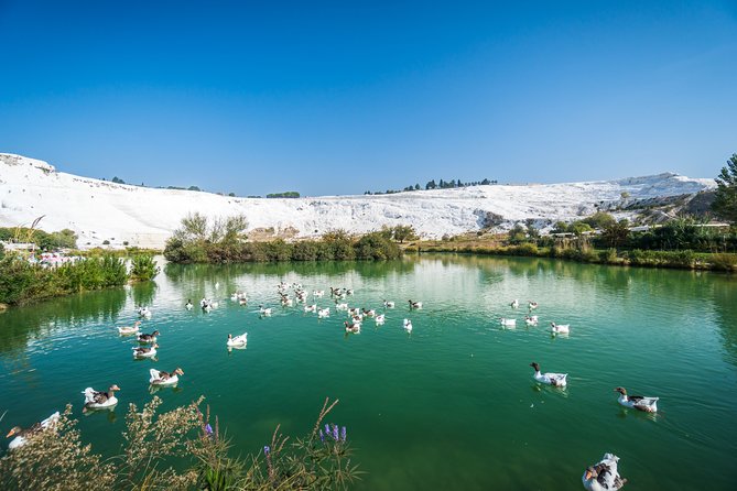 Pamukkale Day Tour from Selcuk - Is the $150.60 Price a Good Deal From Selçuk?