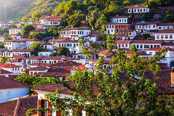 Private Ephesus and Sirince Village Tour from Kusadasi Port/Lunch - Pickup and Getting Ready: The Private Part You’ll Appreciate
