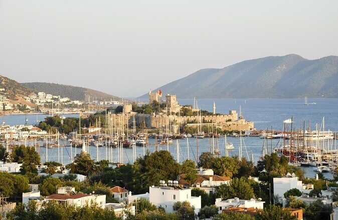 Private Ephesus Tour from Bodrum Port / Hotels - Meeting in Bodrum Port Without Losing Time
