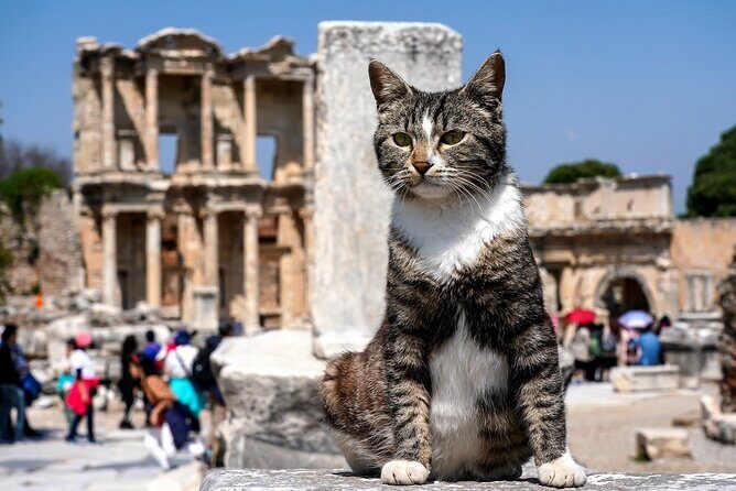 Private Ephesus Tour from Kusadasi - A private Ephesus day that stays manageable from Kusadasi