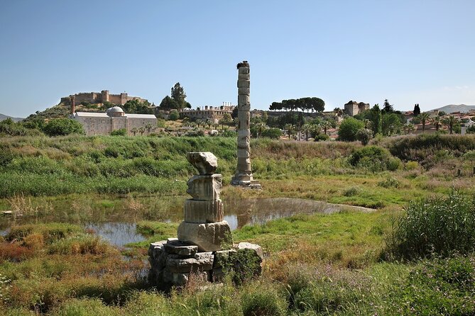Private Tour: Best of Ephesus for Cruise Passengers. - Price and value: is $251.66 per person fair?